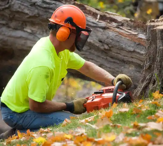 tree services Lake Victoria